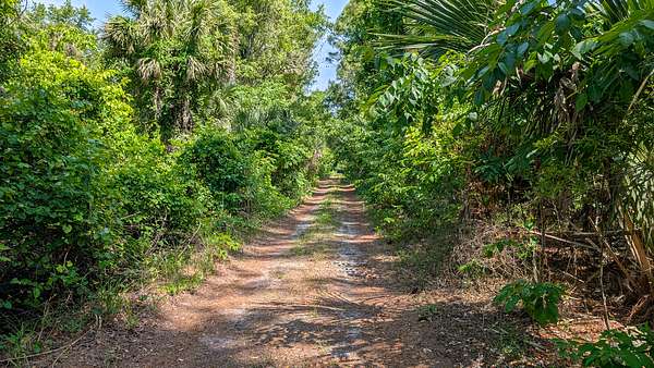 0.23 Acres of Residential Land for Sale in Georgetown, Florida