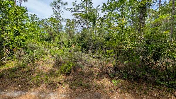 0.27 Acres of Residential Land for Sale in Federal Point, Florida