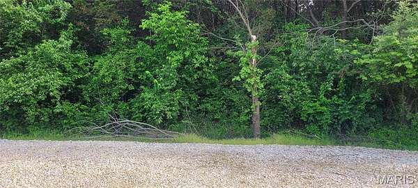0.59 Acres of Residential Land for Sale in De Soto, Missouri