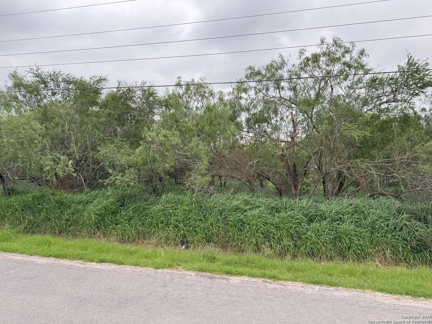 0.32 Acres of Residential Land for Sale in Donna, Texas