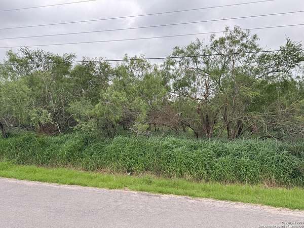 0.32 Acres of Residential Land for Sale in Donna, Texas