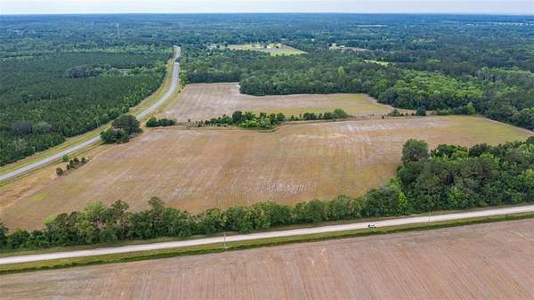 53 Acres of Agricultural Land for Sale in La Crosse, Florida