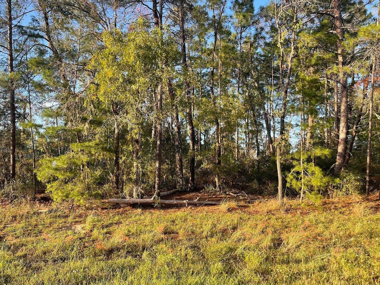 0.23 Acres of Residential Land for Sale in Ocala, Florida