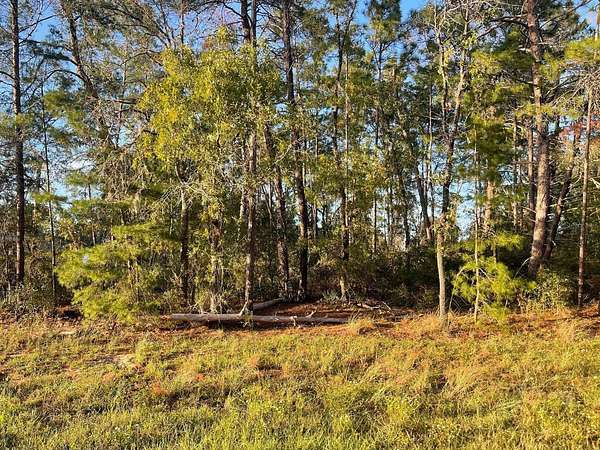 0.23 Acres of Residential Land for Sale in Ocala, Florida