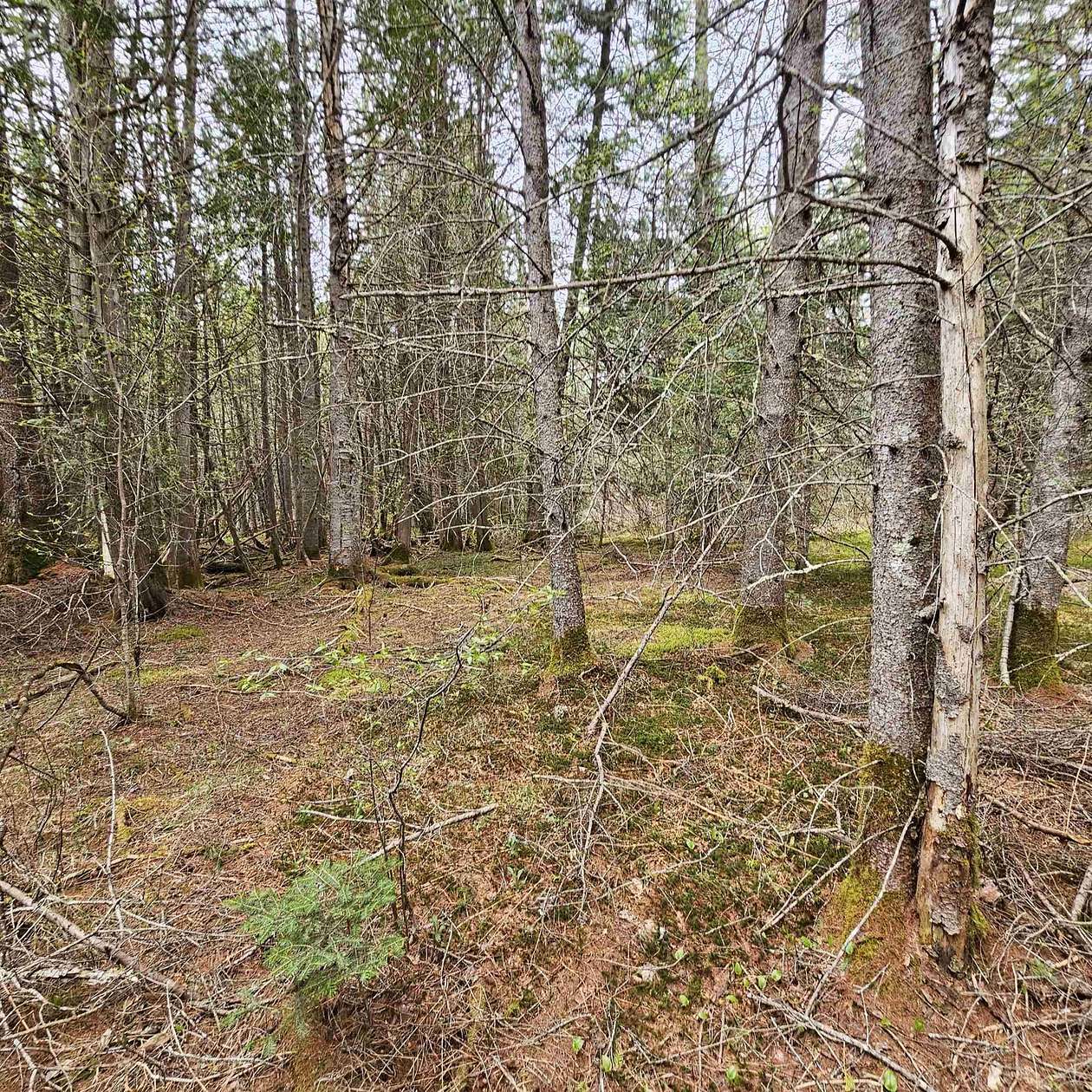 36 Acres of Recreational Land for Sale in Sutton, Vermont