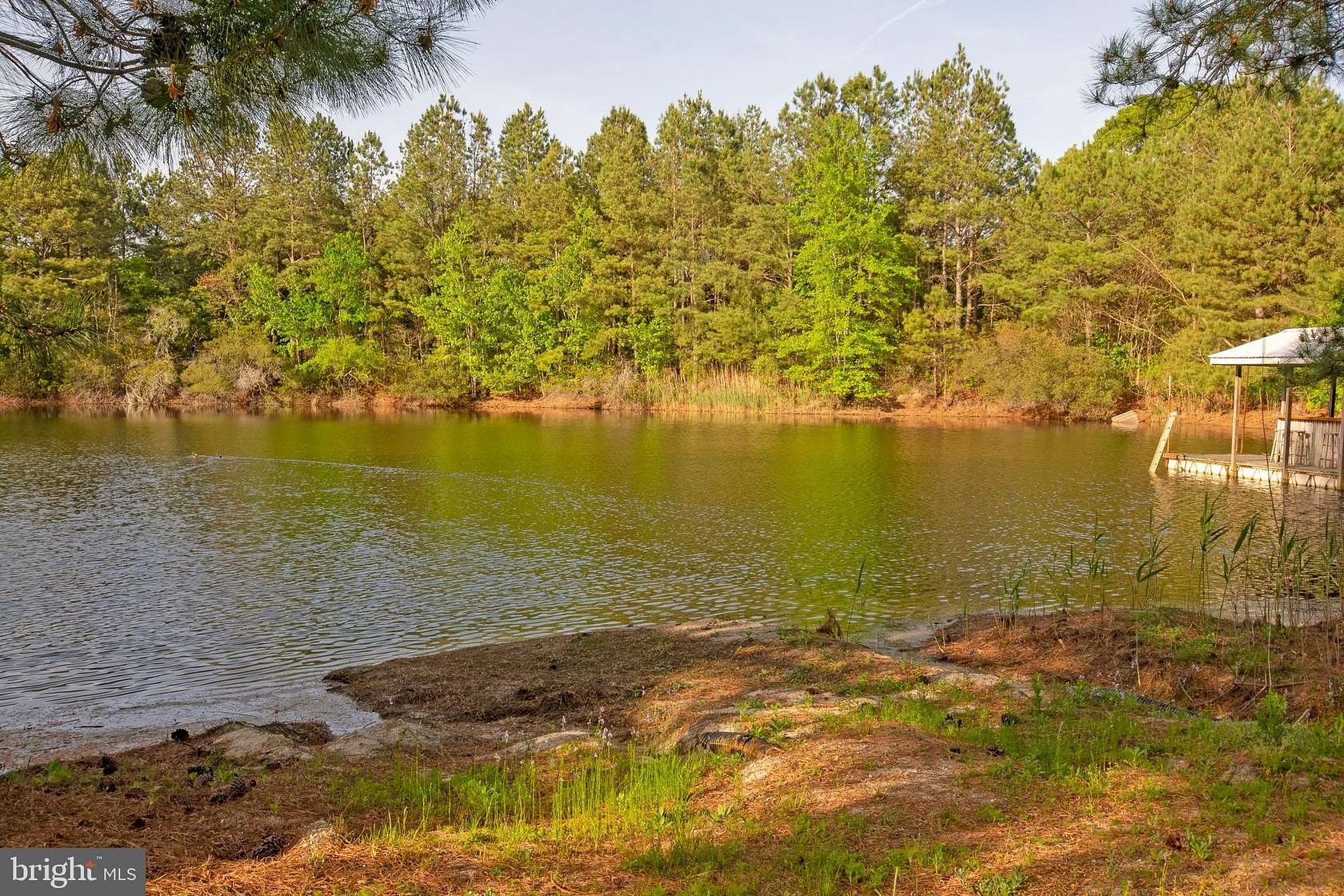 14.4 Acres of Land with Home for Sale in Milford, Delaware