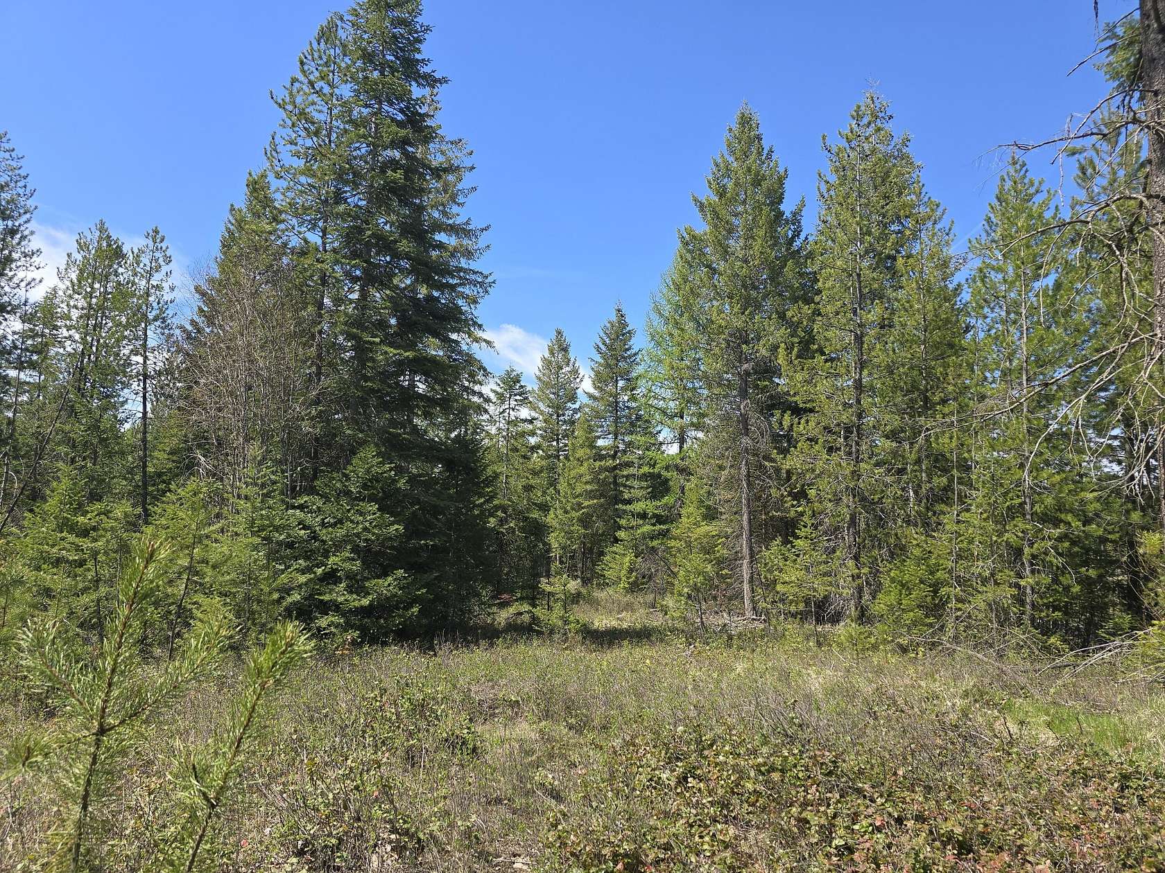 161 Acres of Land for Sale in Deer Park, Washington