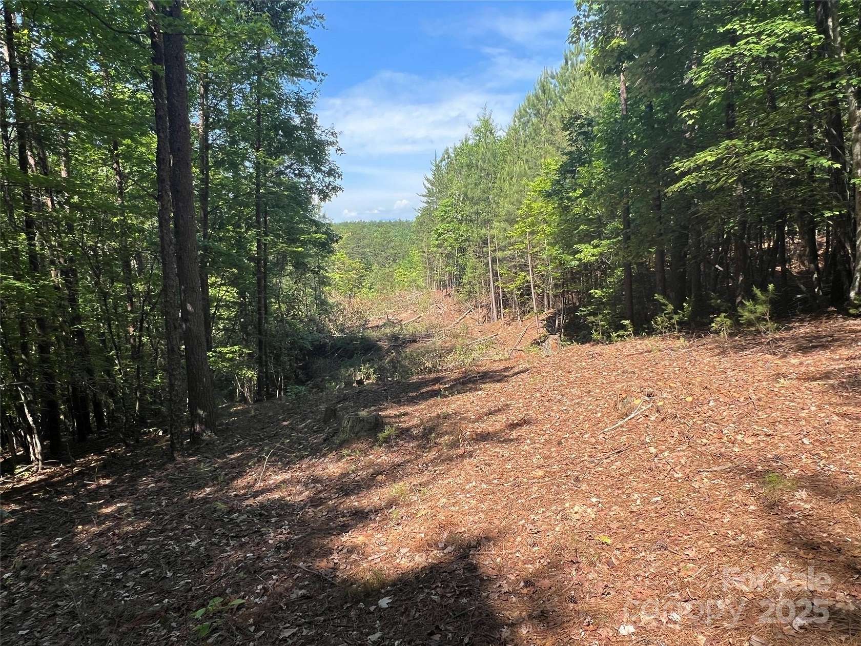 2 Acres of Residential Land for Sale in Nebo, North Carolina