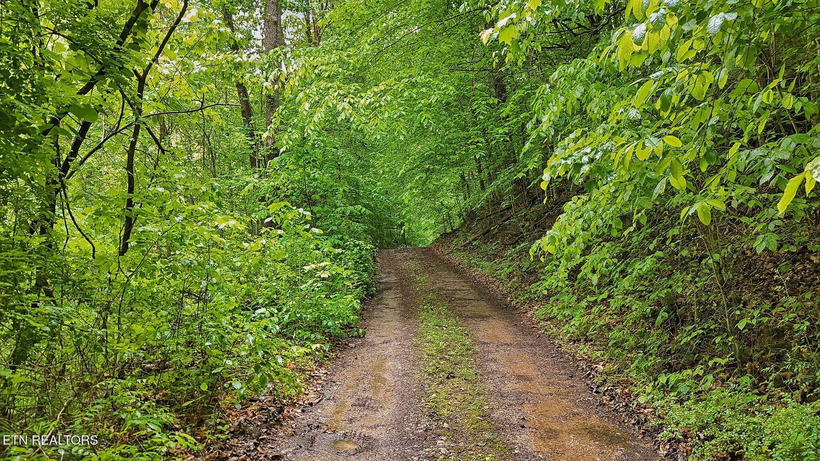 109 Acres of Recreational Land for Sale in Maynardville, Tennessee