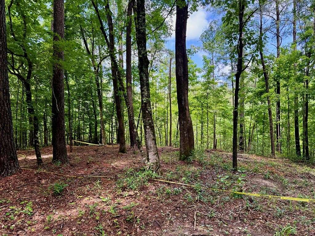 1.32 Acres of Residential Land for Sale in Nacogdoches, Texas