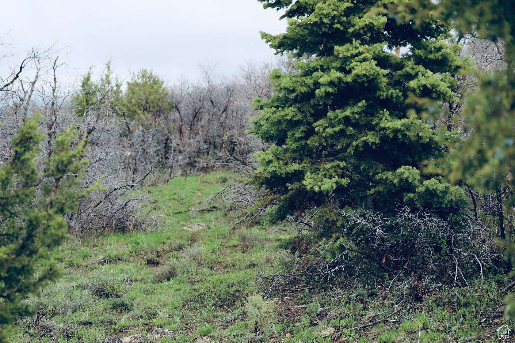 1 Acre of Residential Land for Sale in Mount Pleasant, Utah