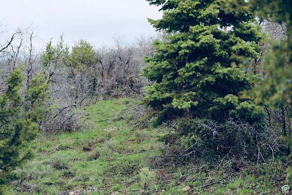 1 Acre of Residential Land for Sale in Mount Pleasant, Utah