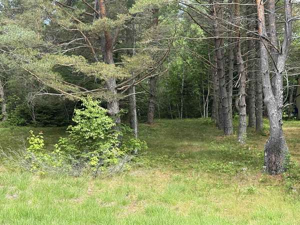 1 Acre of Residential Land for Sale in Carroll, New Hampshire