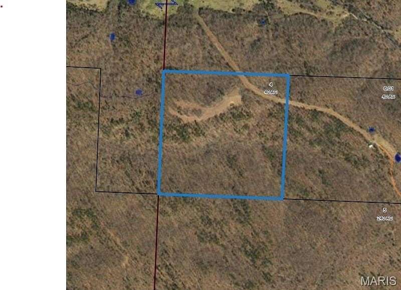 40 Acres of Recreational Land & Farm for Sale in Winona Township, Missouri
