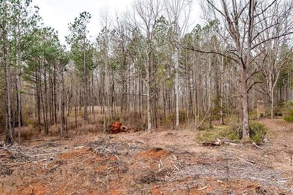 53.7 Acres of Recreational Land & Farm for Sale in Pendergrass, Georgia