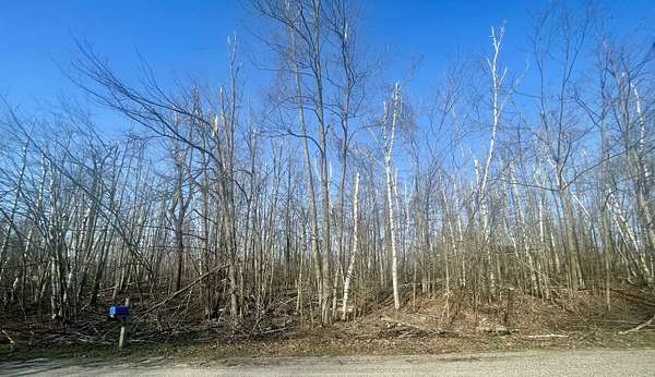 0.55 Acres of Land for Sale in Gaylord, Michigan