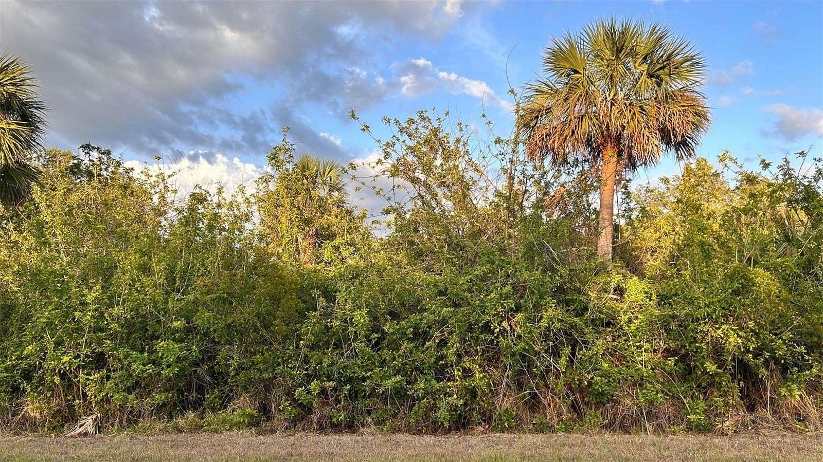 0.23 Acres of Residential Land for Sale in Port Charlotte, Florida