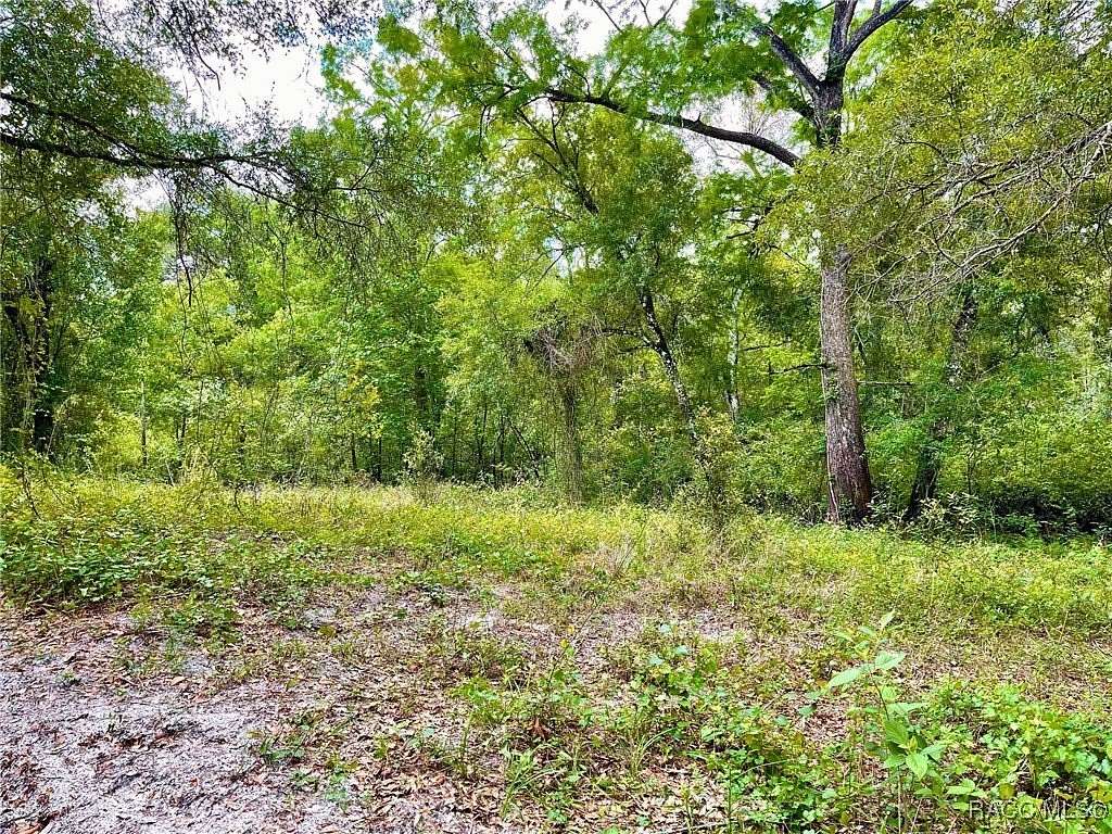7 Acres of Commercial Land for Sale in Dade City, Florida