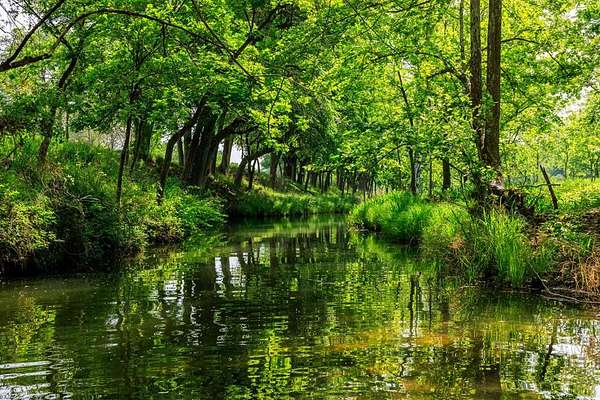 151 Acres of Recreational Land & Farm for Sale in Fredericksburg, Texas