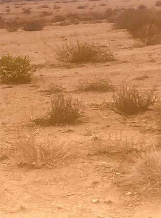 16.2 Acres of Land for Sale in Kingman, Arizona