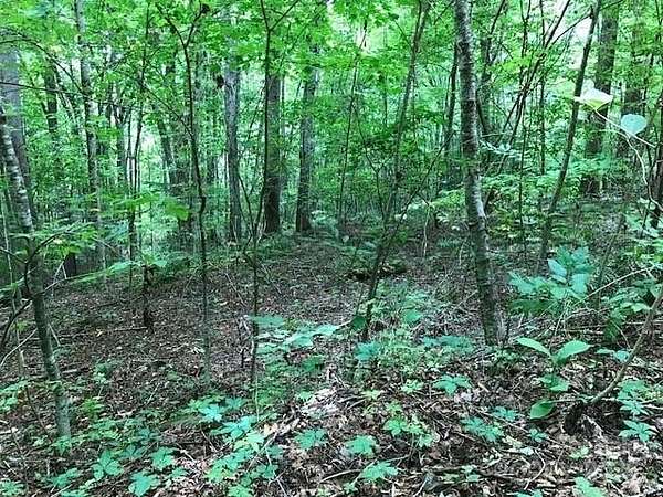 1.52 Acres of Residential Land for Sale in Burnsville, North Carolina