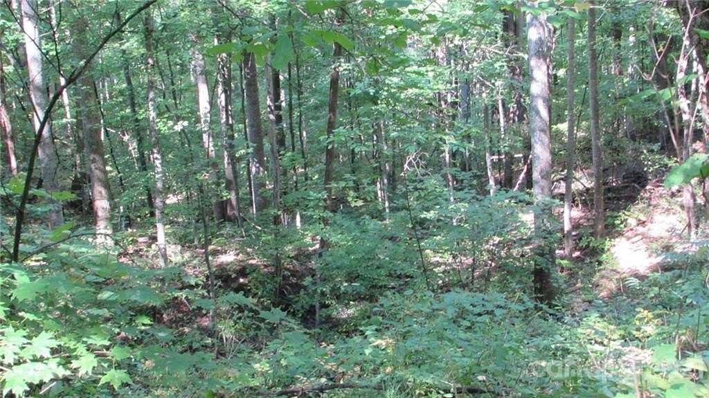 8.32 Acres of Land for Sale in Mars Hill, North Carolina
