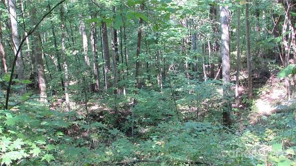 8.32 Acres of Land for Sale in Mars Hill, North Carolina