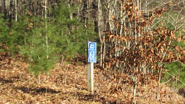 1.29 Acres of Residential Land for Sale in Burnsville, North Carolina
