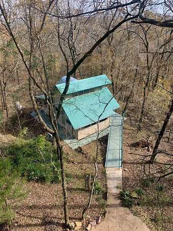 56 Acres of Recreational Land for Sale in Nacogdoches, Texas