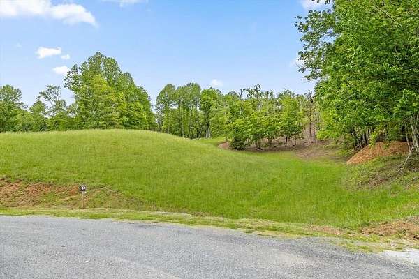 0.87 Acres of Residential Land for Sale in Morganton, Georgia