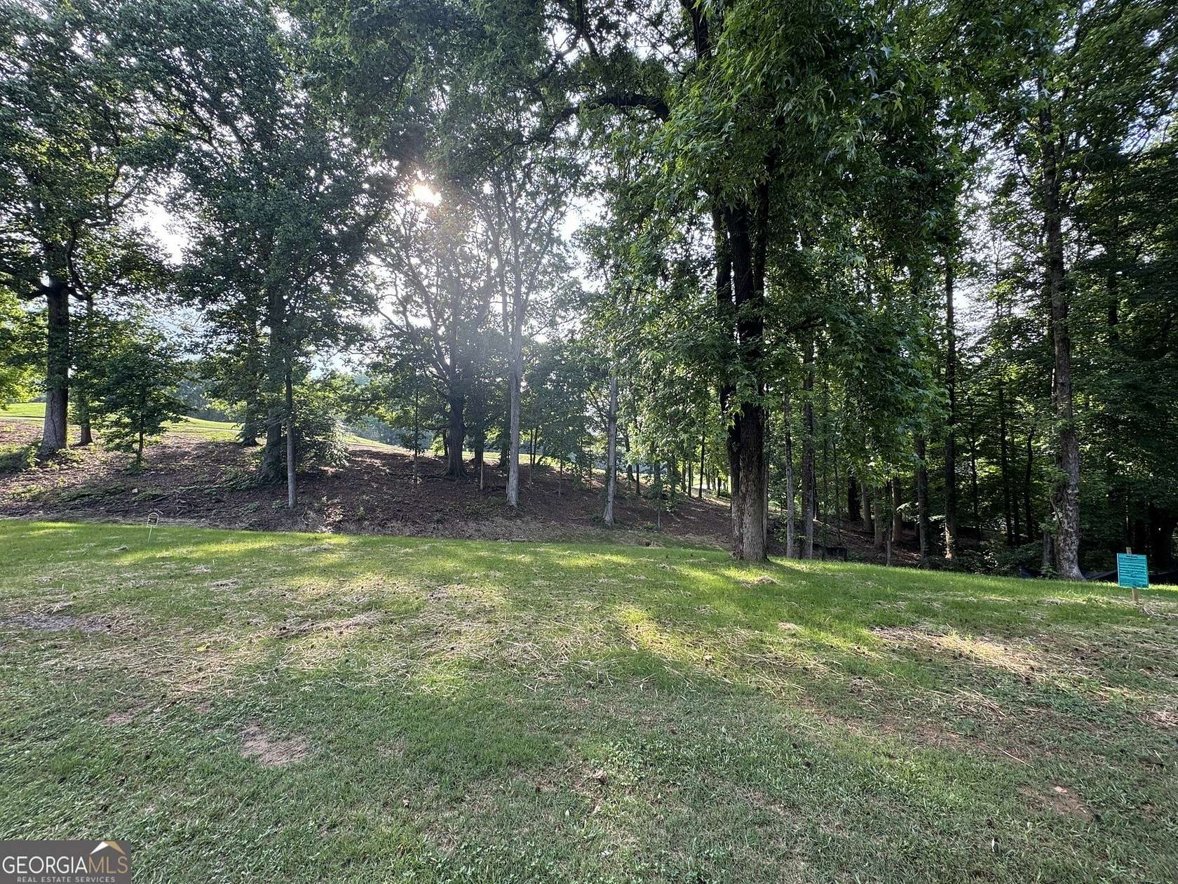 1 Acre of Residential Land for Sale in Flowery Branch, Georgia