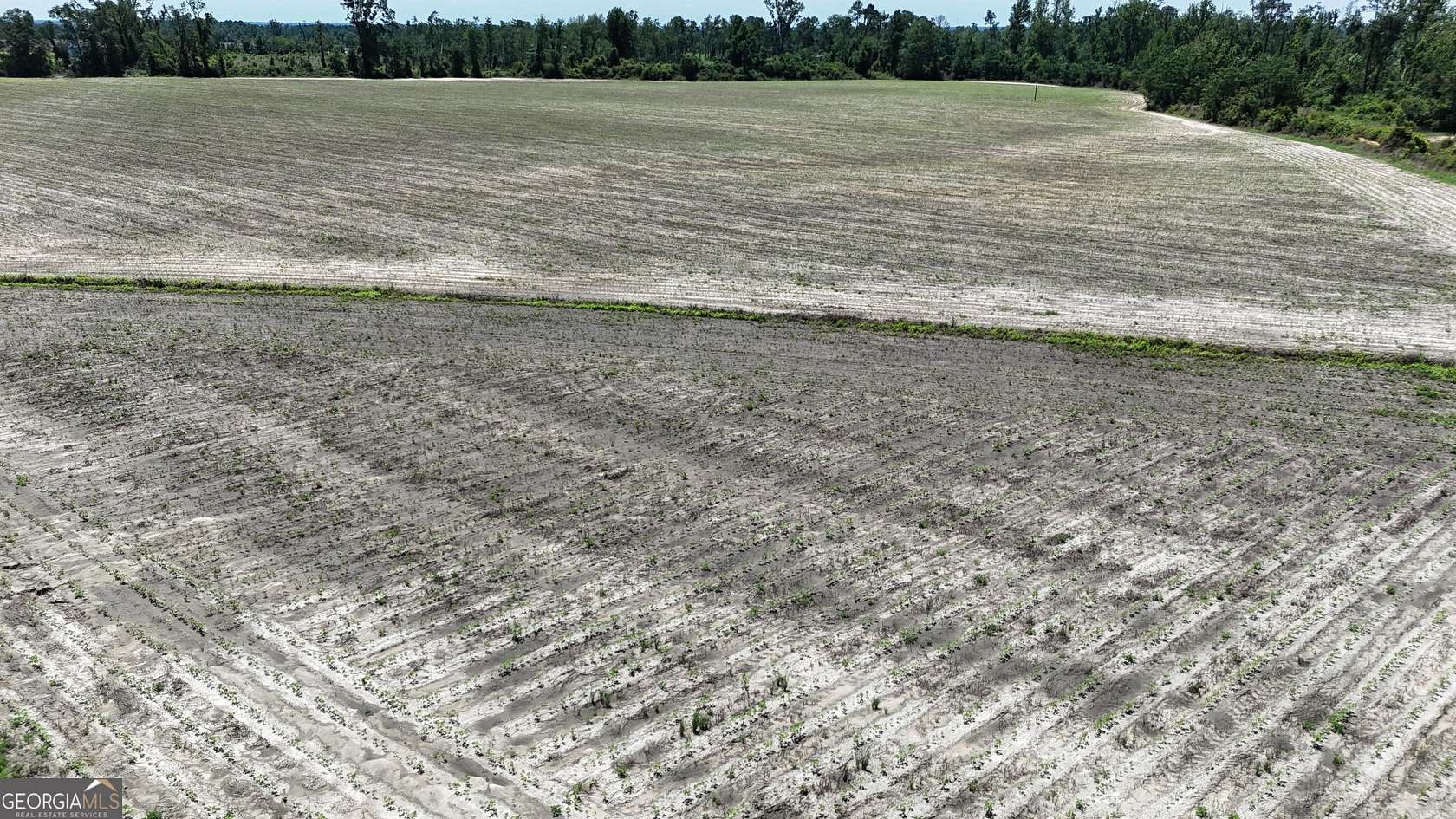 49.5 Acres of Land for Sale in Lumber City, Georgia