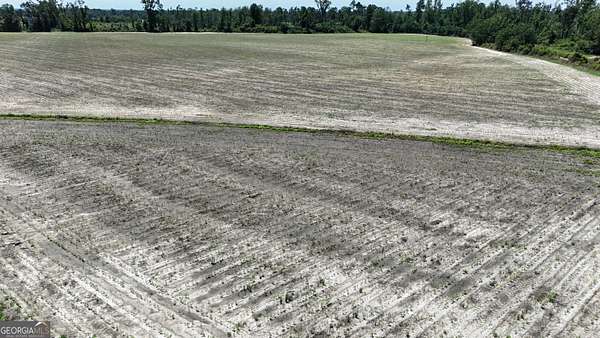 49.5 Acres of Land for Sale in Lumber City, Georgia