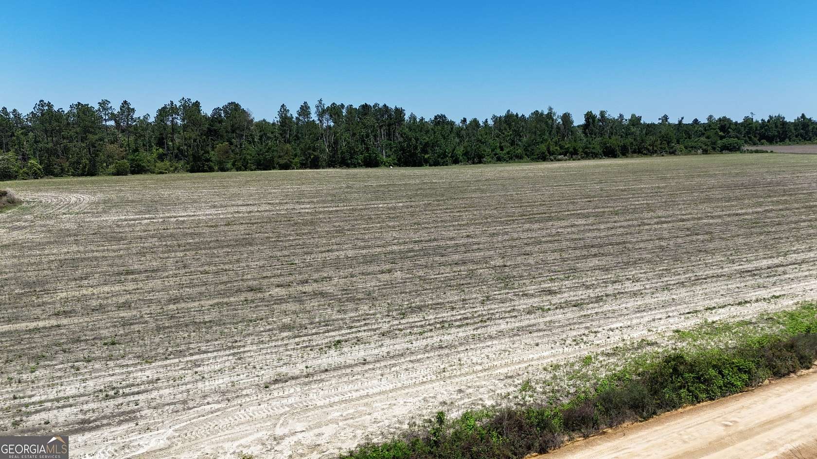 23 Acres of Land for Sale in Lumber City, Georgia