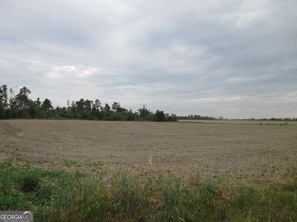 23 Acres of Recreational Land & Farm for Sale in Lumber City, Georgia