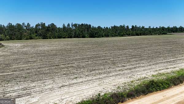 23 Acres of Land for Sale in Lumber City, Georgia