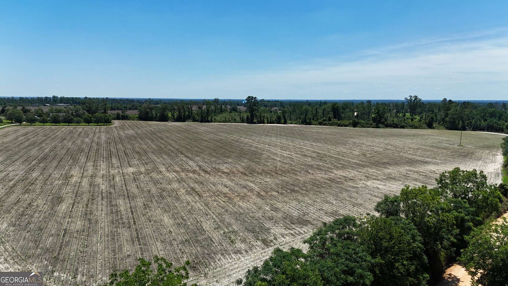 21.5 Acres of Land for Sale in Lumber City, Georgia