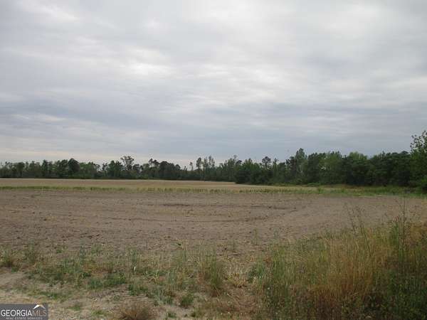 21.5 Acres of Recreational Land & Farm for Sale in Lumber City, Georgia