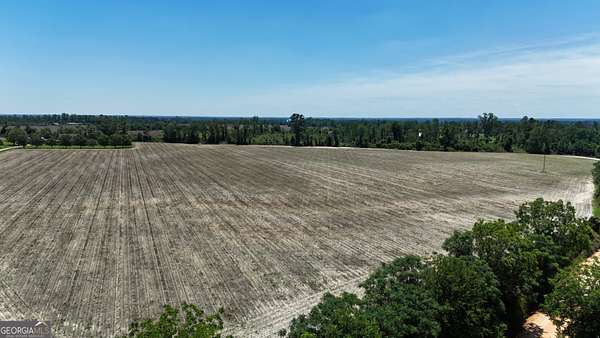 21.5 Acres of Land for Sale in Lumber City, Georgia