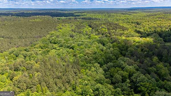 37.2 Acres of Recreational Land for Sale in LaGrange, Georgia