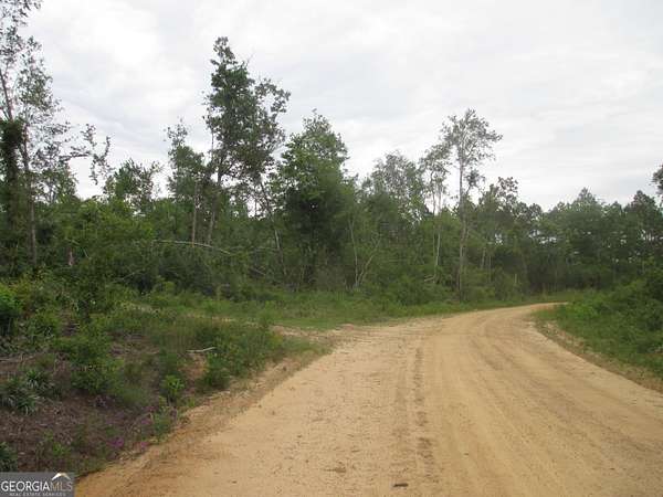 7.54 Acres of Agricultural Land for Sale in Lumber City, Georgia