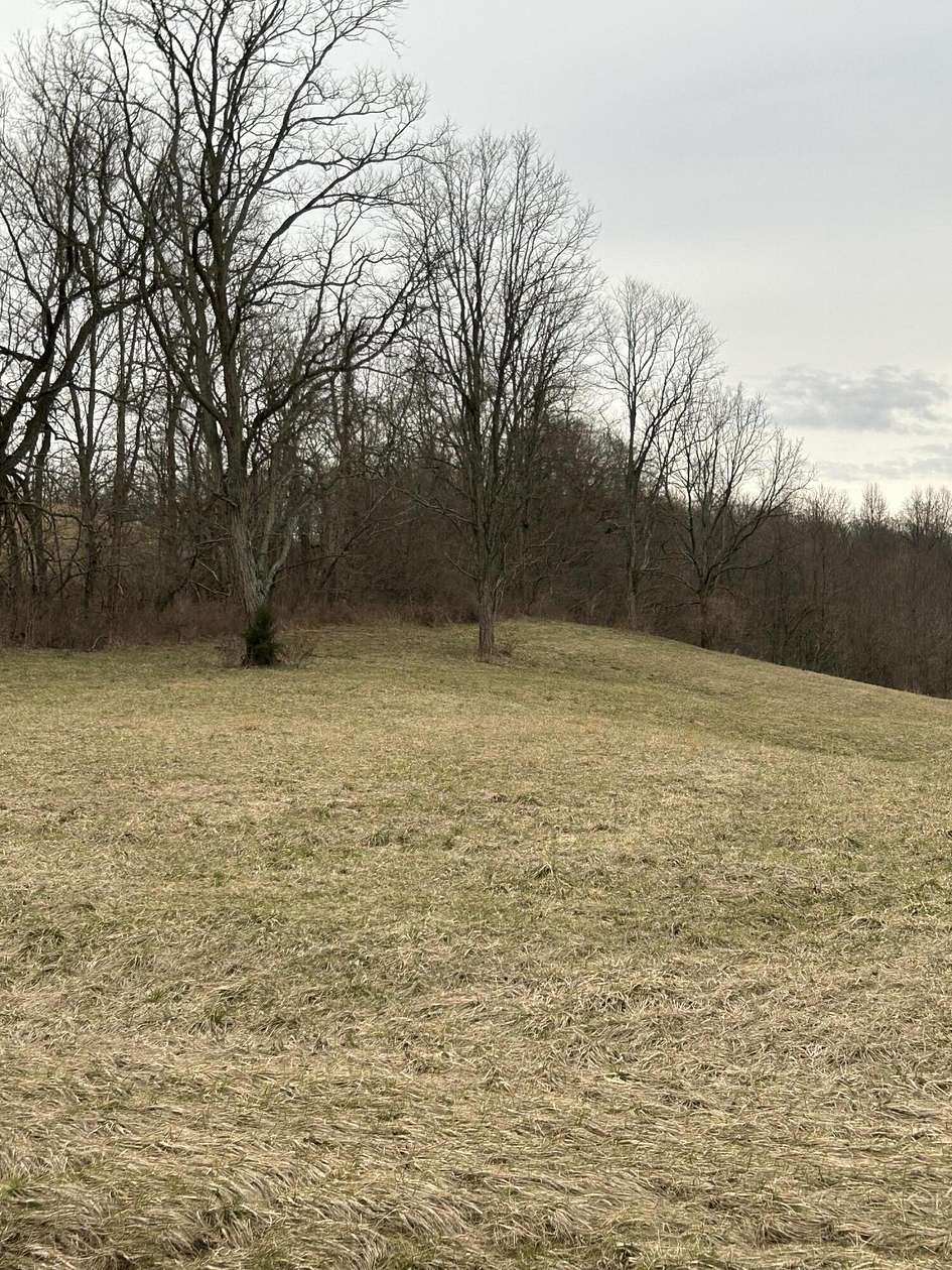 11.4 Acres of Land for Sale in Georgetown, Kentucky