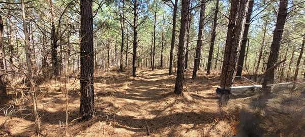 30 Acres of Recreational & Residential Land for Sale in Dover, Tennessee