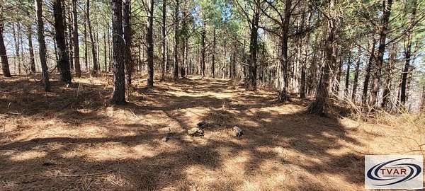 30 Acres of Recreational & Residential Land for Sale in Dover, Tennessee