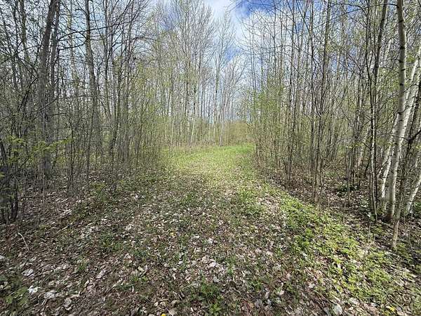 83.6 Acres of Recreational Land for Sale in Winthrop, New York