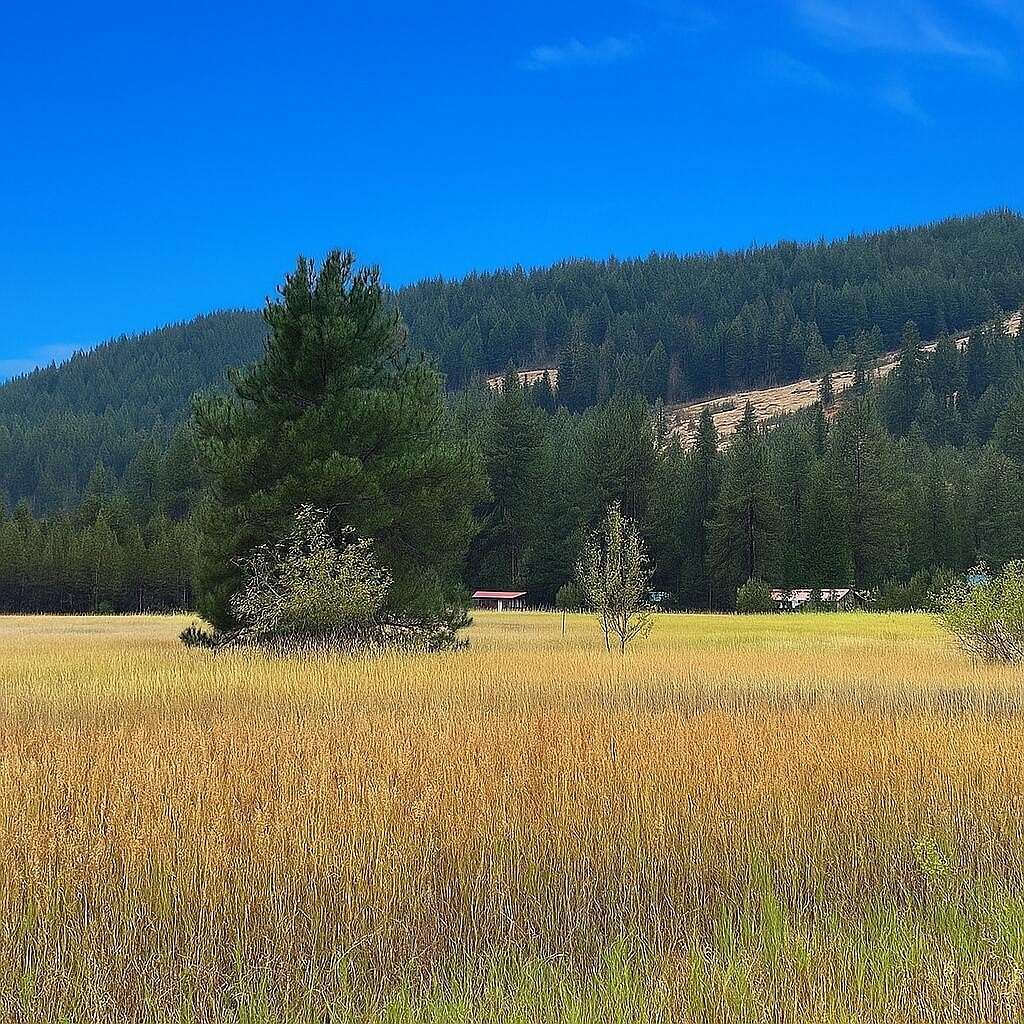 8.1 Acres of Land for Sale in Kettle Falls, Washington