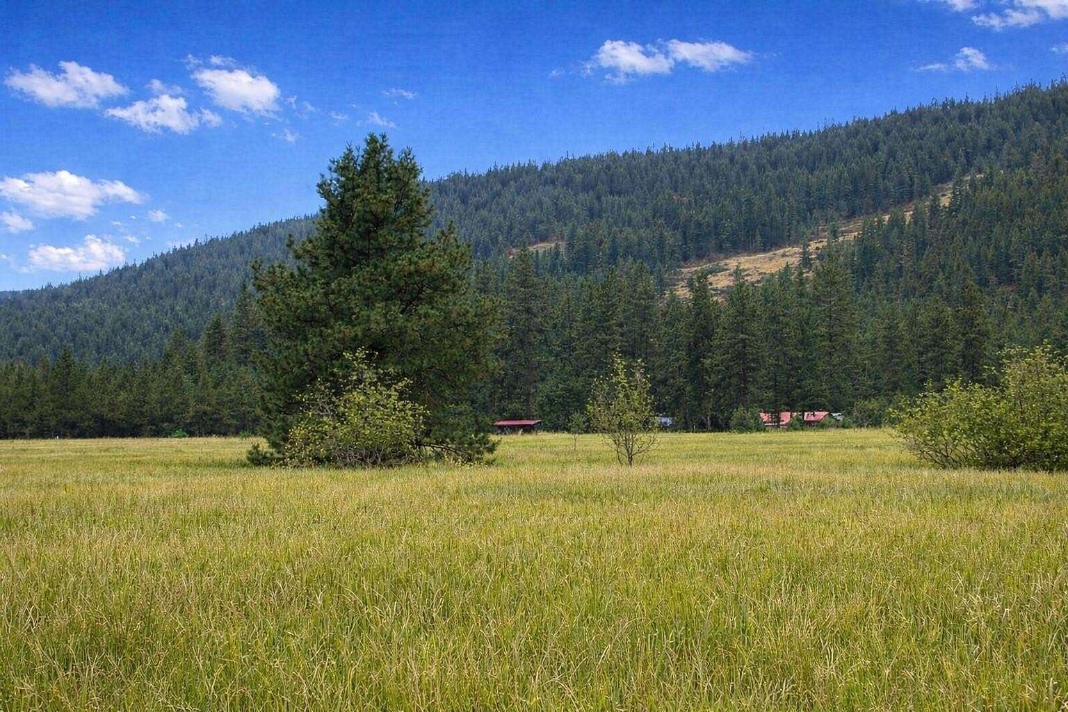 8.1 Acres of Land for Sale in Kettle Falls, Washington