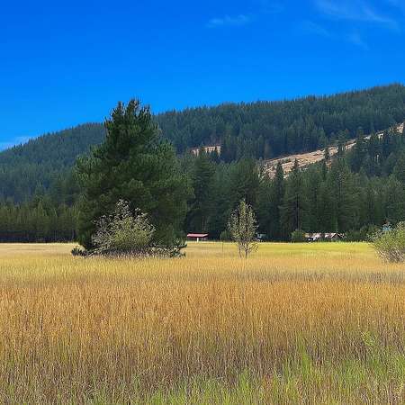 8.1 Acres of Land for Sale in Kettle Falls, Washington