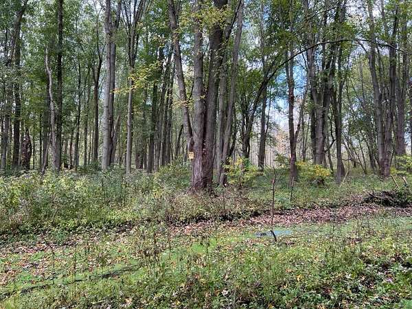 16.4 Acres of Recreational Land for Sale in Macedon, New York