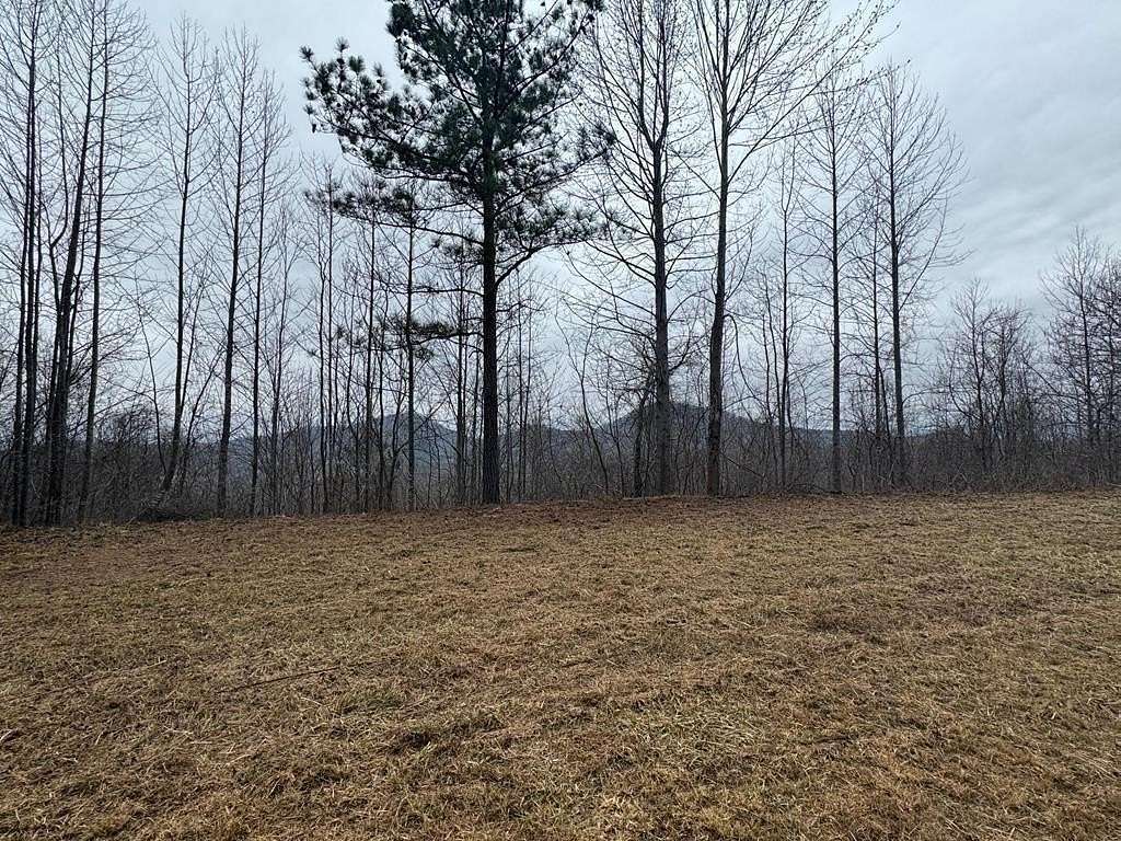 0.76 Acres of Residential Land for Sale in Young Harris, Georgia
